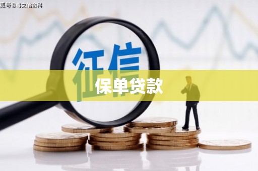 线西保单贷款